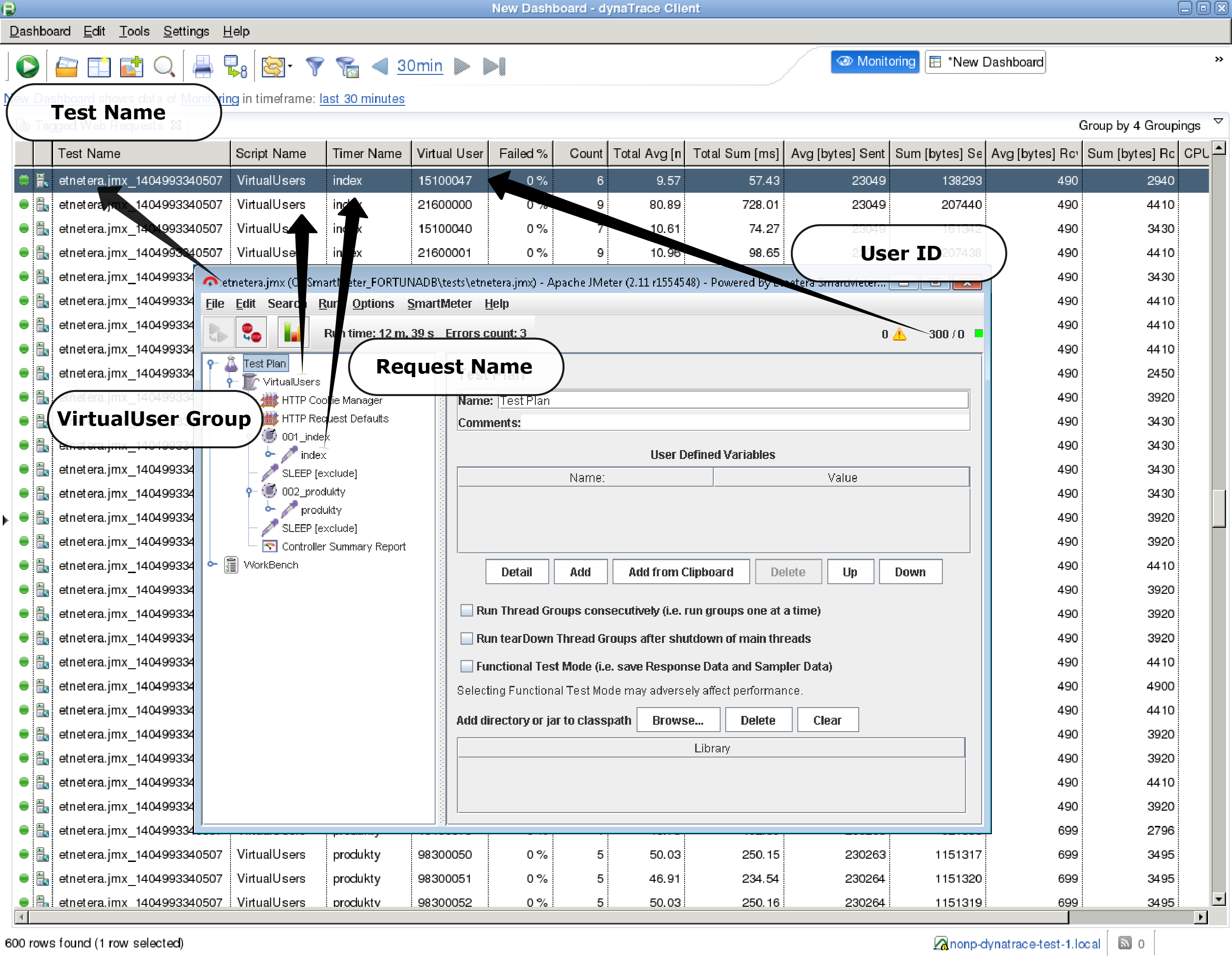 dynatrace-load-test-smartmeter-2